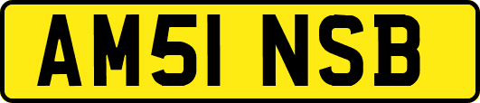 AM51NSB