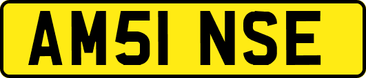 AM51NSE