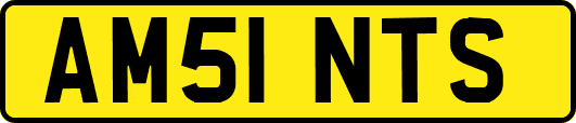 AM51NTS