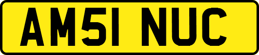 AM51NUC