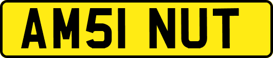 AM51NUT