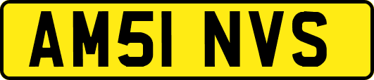 AM51NVS