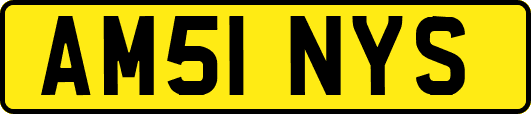 AM51NYS