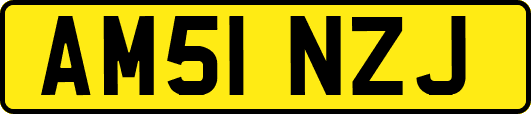 AM51NZJ