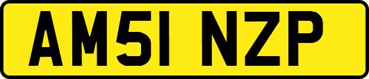 AM51NZP