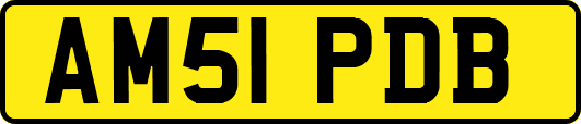 AM51PDB