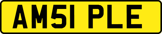 AM51PLE