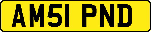 AM51PND