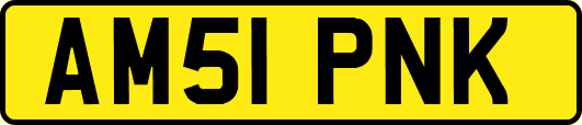 AM51PNK