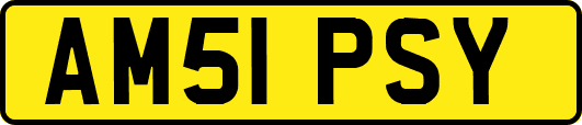 AM51PSY