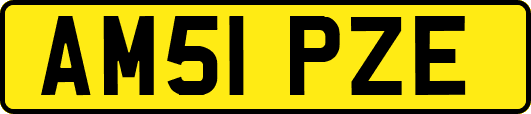 AM51PZE