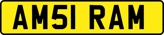 AM51RAM