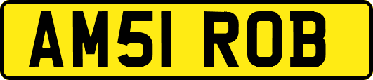 AM51ROB