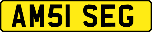 AM51SEG