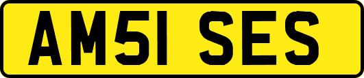 AM51SES