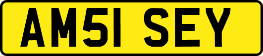 AM51SEY