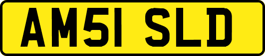 AM51SLD