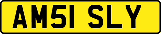 AM51SLY