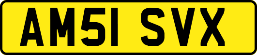 AM51SVX