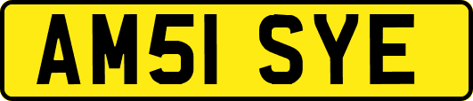 AM51SYE