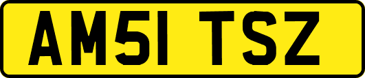 AM51TSZ