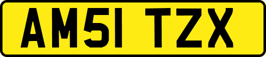 AM51TZX