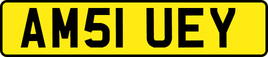 AM51UEY