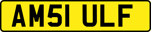 AM51ULF