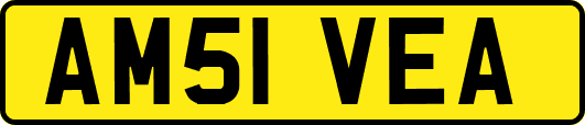 AM51VEA