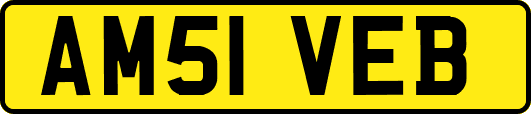 AM51VEB