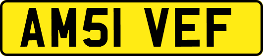 AM51VEF