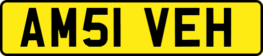 AM51VEH