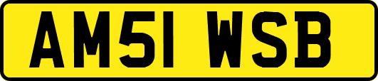 AM51WSB
