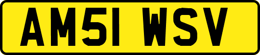 AM51WSV