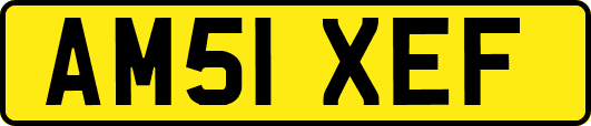 AM51XEF