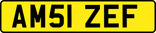 AM51ZEF