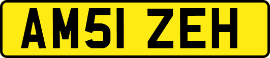 AM51ZEH
