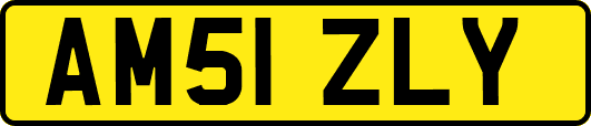 AM51ZLY