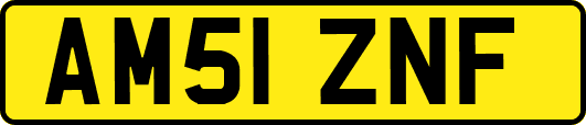 AM51ZNF