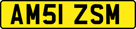 AM51ZSM