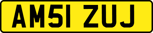 AM51ZUJ