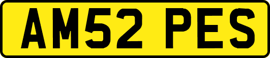 AM52PES