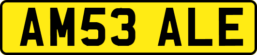AM53ALE