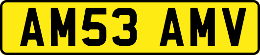 AM53AMV