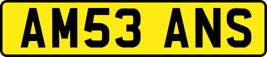AM53ANS
