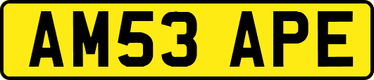AM53APE