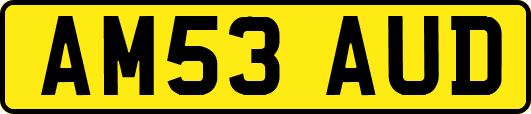 AM53AUD