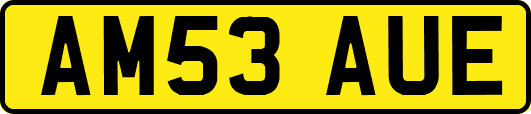 AM53AUE
