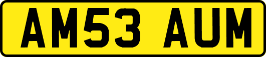 AM53AUM
