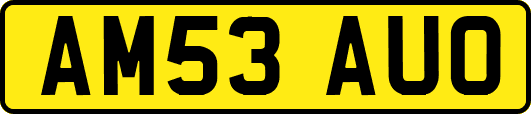 AM53AUO